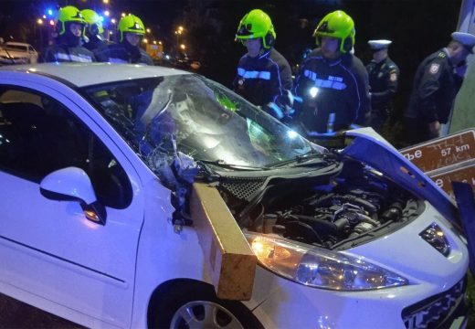 Banjaluka: Vatrogasci uklonili pežo koji je usmrtio Banjalučanku (Foto)
