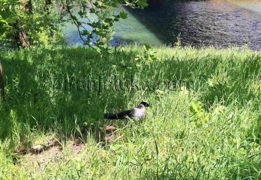 Prognoza: Kakvo nas vrijeme očekuje sutra?