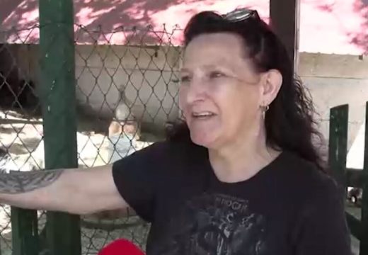 “Kokoške su došle iz Čilea”:  Vesna prodaje plava jaja, a za Vaskrs su posebno tražena i interesantna (Foto)