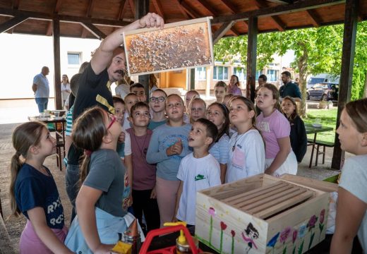 Svjetski dan pčela: Održan “MEDeni čas” u školi u Trnu