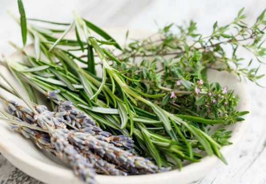 Zdravlje: Ova biljka je najbolja za kontrolisanje visokog holesterola