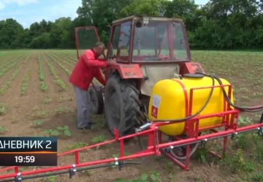 Poljoprivreda: U Lijevču sve veća zainteresovanost za proizvodnju uljarica (Video)
