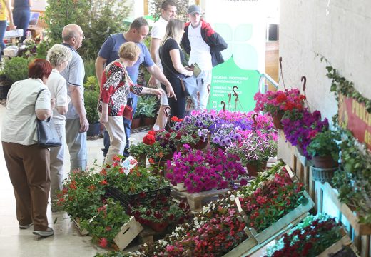 „U bašti nade uvijek nešto cvjeta“: Četvrti Sajam cvijeća u Bijeljini 25. i 26. maja