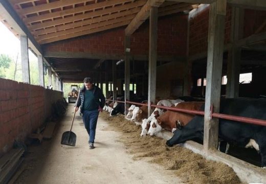 Za podsticaje spremno 40 miliona KM: Prijavile se hiljade semberskih poljoprivrednika