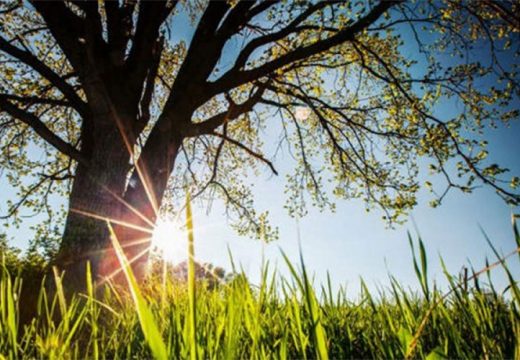 Vremenska prognoza: Kakvo nas vrijeme očekuje u ponedjeljak