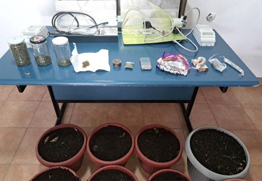 Akcija “Plantaža 2024”: U Kozarskoj Dubici pronađen kilogram droge