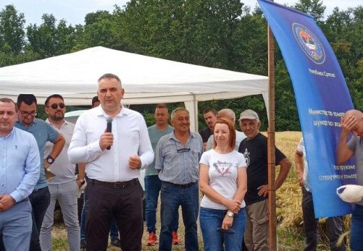 U Tišini održani “Dani polja strnih žita” (Foto)