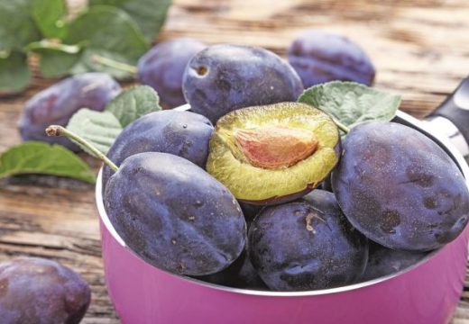 Voćari: Odličan rod šljive u ugljevičkom kraju (Video)