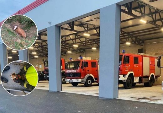 Gašenje požara nije jedini razlog njihovog izlaska na teren: Neobične intervencije s kojima se susreću vatrogasci u Srpskoj