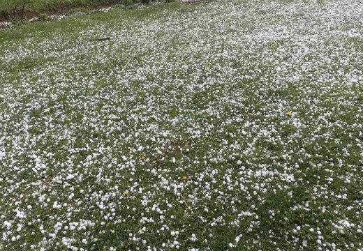 Evo šta kaže nauka: Studija pokazala kako klimatske promjene utiču na pojavu grada