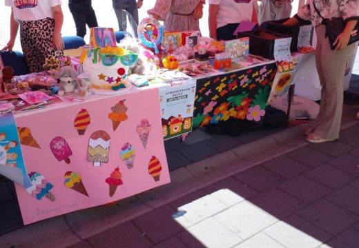 Udruženje mladih Bijeljina: Humanitarni bazar za dječaka Sergeja Vasića