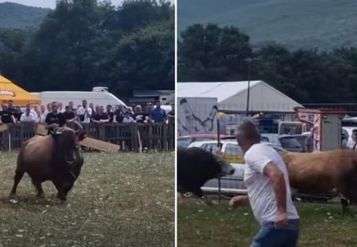 Drama tokom koride u BiH: Bik uletio u publiku (Video)