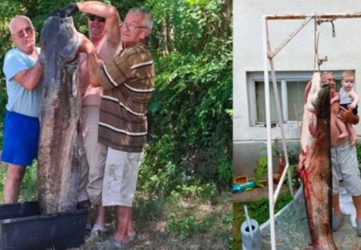Pravi kapitalac: Izvukao soma koji vaga više od 100 kilograma
