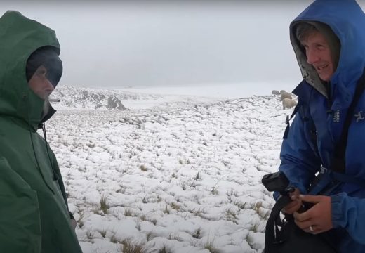 Snijeg zameo nomade na Vlašiću: “Studeno hajvanu” (Video)