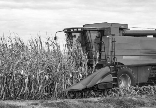 Tragedija u Srpcu: Mladića usmrtio kombajn