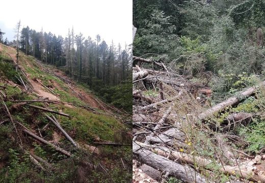 FBiH: Zašto su nadležni tek nakon katastrofe u Jablanici javno progovorili o problemu Bistričkog potoka?