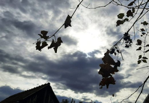 Pad temperature: Evo kakvo nas vrijeme očekuje danas