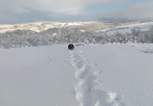 Višković dao nalog: Helikopterski servis evakuiše zavejane, doprema hranu i lijekove