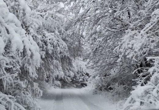 Nisu imali sluha!: Nestali meteorolog molio nadređene da ga ne prebacuju na Bjelašnicu