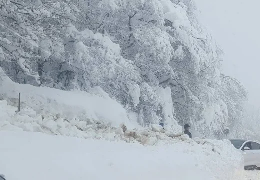 Kusturić: U toku spasavanja na Majevici i Manjači