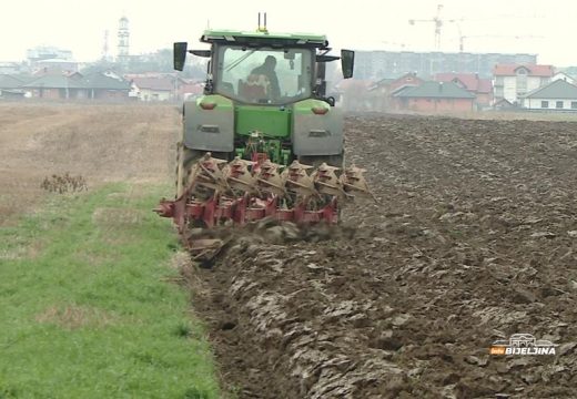 U Semberiji zasijano 18.080 hektara: Pšenica otporna i na minus 15, ali joj treba snijeg