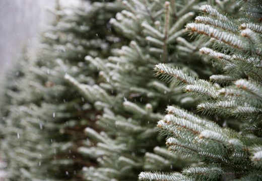 Vrijeme u naredne dvije sedmice: Stiže zima i minus