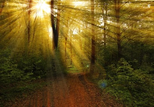 Vremenska prognoza: Kakvo nas vrijeme sutra očekuje?