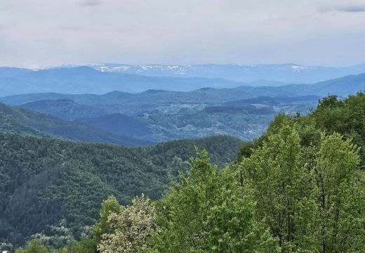 Ekologija: Predaja peticije za zaštitu Majevice