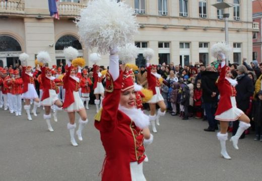 Karavan mimoze stiže u Bijeljinu: Dah Jadrana za vikend u Semberiji