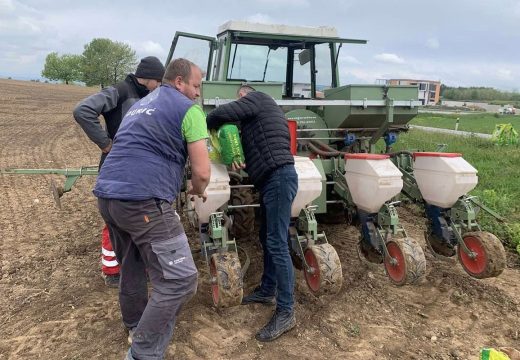Poljoprivreda: Klimatske promjene uticale na rokove sjetve