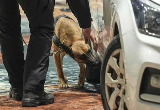 Sarajevo: Službeni pas Granične policije BiH prvak na takmičenju (Foto)