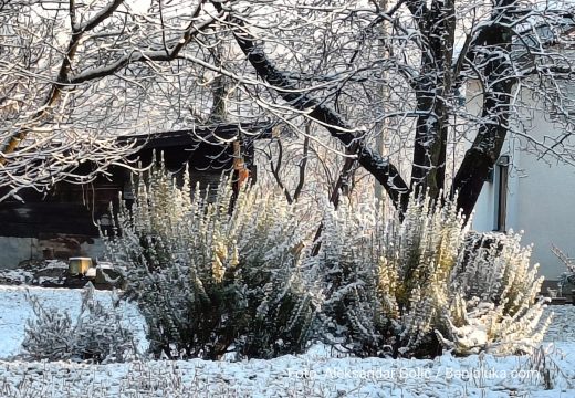 Vremenska prognoza: Evo kakvo nas vrijeme očekuje danas
