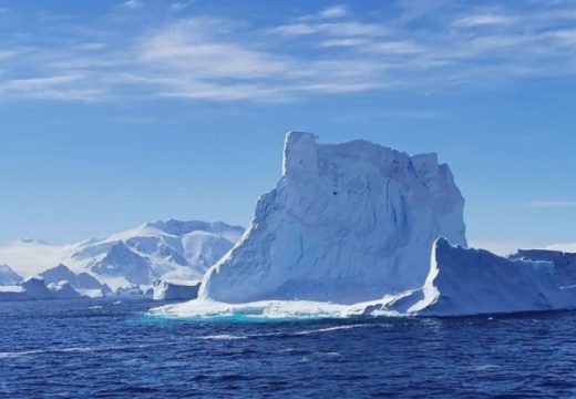 Istraživanje: Naučnici na Antarktiku pronašli nešto veoma zabrinjavajuće
