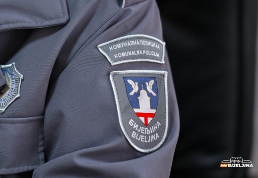 Komunalna policija kreće u kontrolu: Kazne za neodržavanje rastinja uz puteve u Bijeljini