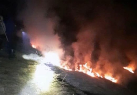 Intervenisali vatrogasci: Požar u Milićima zahvatio pet dunuma niskog rastinja