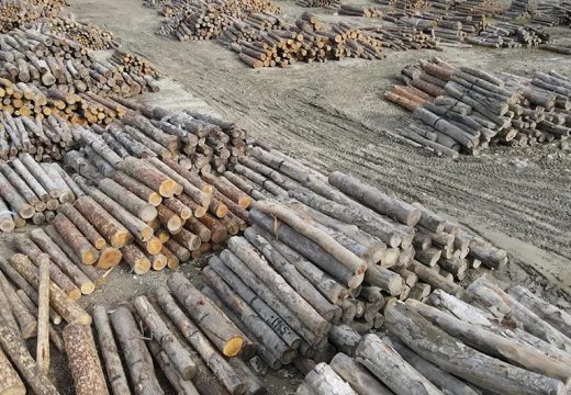 RS: Drvoprerađivači nezadovoljni novim cijenama drvnih sortimenata