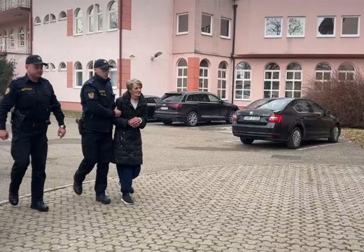 Slučaj pronalaska 31 djeteta: Uhapšeni u Brčkom predati Tužilaštvu