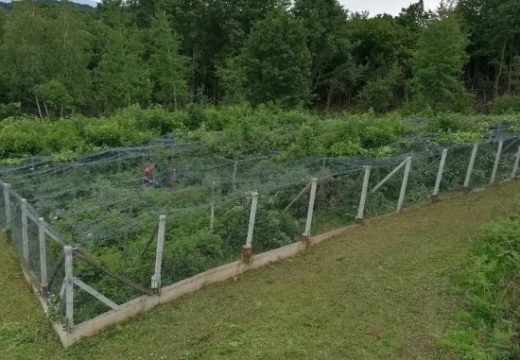 Lovački Savez RS: Objavljen Pravilnik o podsticajima za 2025. godinu