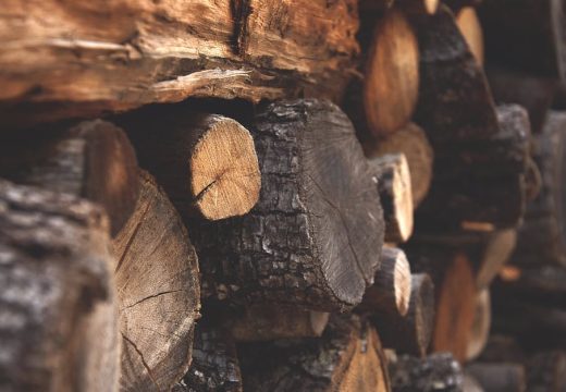 Nemaju važeća planska dokumenta: Dijelovima “Šuma RS” zabranjen rad