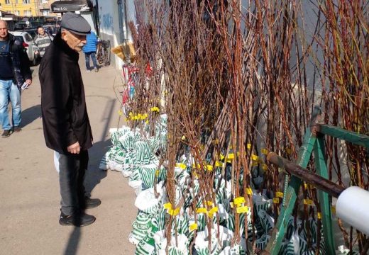 U toku su pripreme za proljećne radove:  Apoteke dobro snabdjevene sadnim materijalom