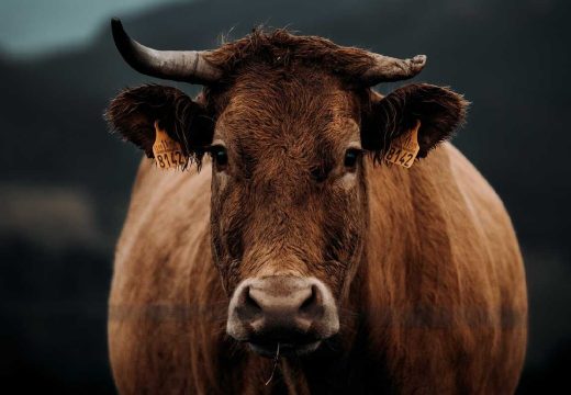 Na šta se odnose: Definisana prava koja će doprinijeti kontroli zaraznih bolesti