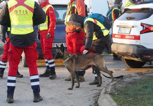 Srbija: Kako su spasilac Dejan i keruša Mala pronašli nestalu djevojčicu (2)