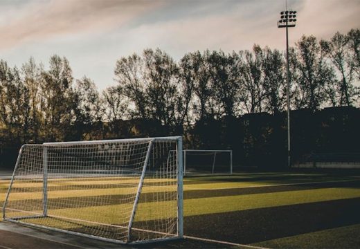 Hronika: Ubio se bivši golman Partizana