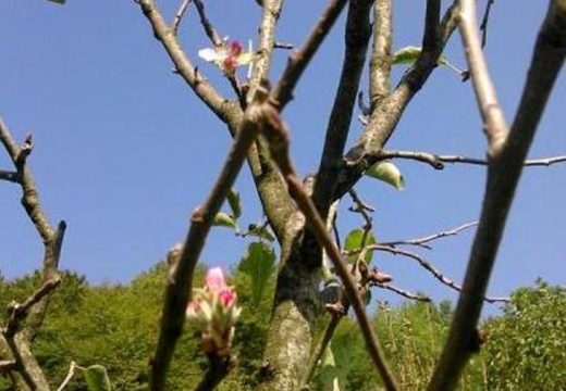 Vrijeme danas: Oblačno, toplo i vjetrovito