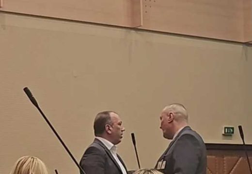 Crnadak izbačen sa sjednice: Višković, Natovario si mi se na leđa jer te stranci plaćaju