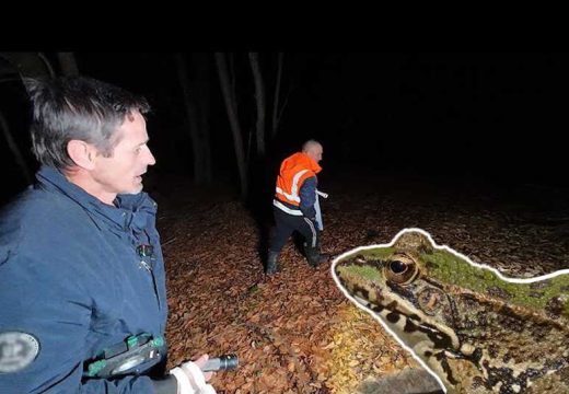 Busovača: Marko odlično zarađuje loveći žabe noću u šumi (Video)