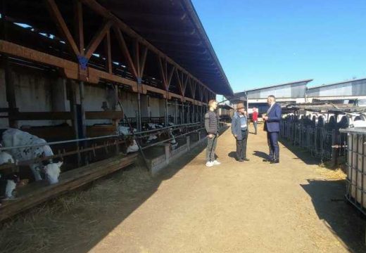 Minić: Ulaganja u proizvodnju donose odlične rezultate