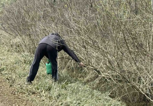 Semberija: Počelo larvicidno uništavanje komaraca