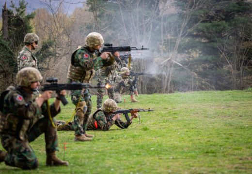 Pucalo se u BiH: EUFOR vježbao bojevo gađanje (Foto)