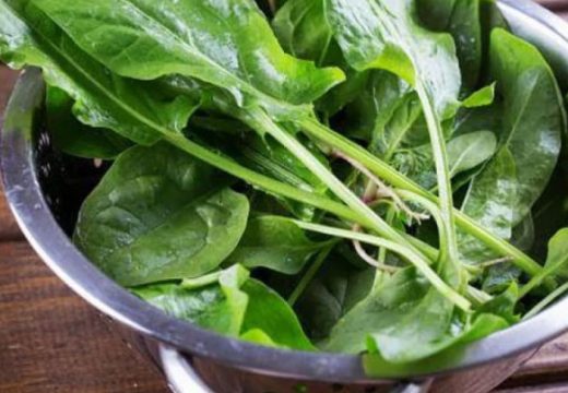 Da li ste probali: Naše bake su ovu biljku u proljeće brale po livadama – vraća snagu i popravlja probavu